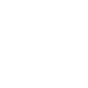 Execution